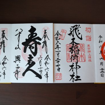 Exemples de sceaux goshuin variés sur goshuincho en accordéon 2