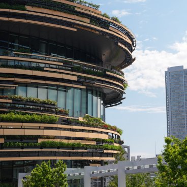 MoN Takanawa (Tokyo), Vue sur l'extérieur du musée et sa façade de bois et de verre