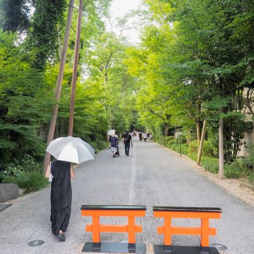 Tadasu no Mori (Kyoto), entrée de la forêt et allée vers le sanctuaire Shimogamo