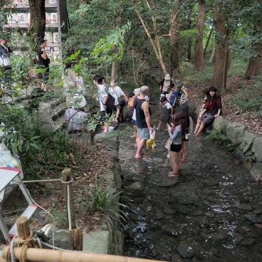 Tadasu no Mori (Kyoto), rituel Mitarashi-sai dans la rivière qui traverse la forêt en été