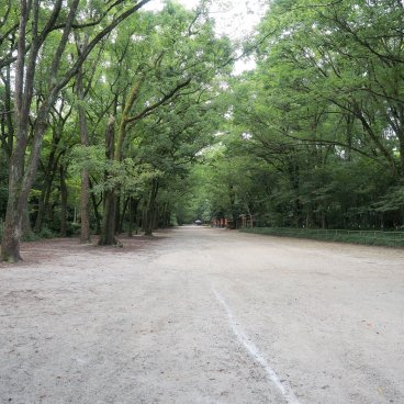 Tadasu no Mori (Kyoto), allée dans la forêt