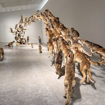 Naoshima, Honmura, Naoshima New Museum of Art,‭ Head On‬‭ de Cai Guo-Qiang