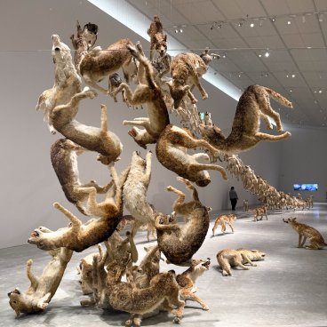 Naoshima, Honmura, Naoshima New Museum of Art,‭ Head On‬‭ de Cai Guo-Qiang 2