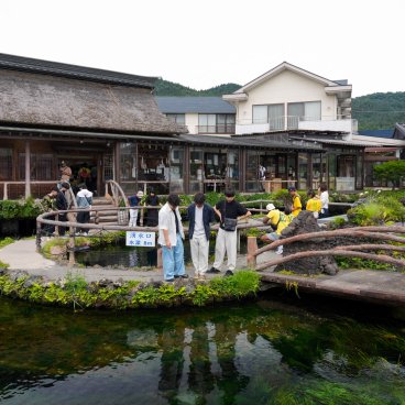 Oshino Hakkai (Fujiyoshida), Visiteurs contemplant l'eau limpide de l'étang Naka