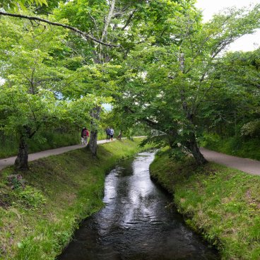 Oshino Hakkai (Fujiyoshida), Berges de la rivière Shinnasho en été 