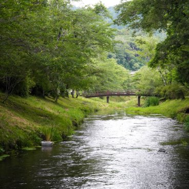 Oshino Hakkai (Fujiyoshida), Pont traversant la rivière Shinnasho en été 
