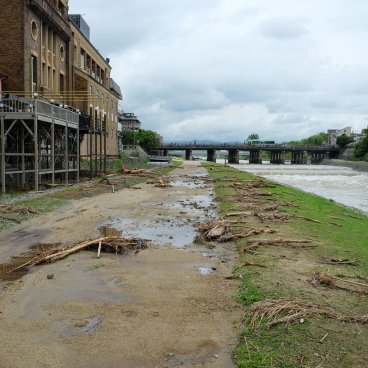 Kyoto, inondations de la rivière Kamogawa en été après tempête tropicale