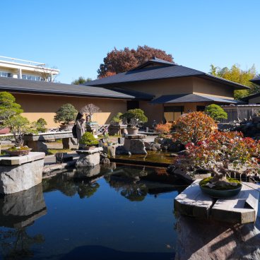 Musée d'art du bonsaï d'Omiya (Saitama), Vue sur le jardin de bonsaï et son plan d'eau en automne