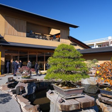 Musée d'art du bonsaï d'Omiya (Saitama), Vue sur le bâtiment du musée depuis le jardin de bonsaï en automne