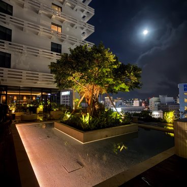 The Royal Park Hotel Iconic Naha (Okinawa), arbre Gajumaru et son bassin en extérieur de nuit