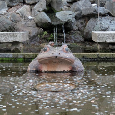 Arashiyama (Kyoto), bassin pour se porter chance dans l'un des temples du quartier