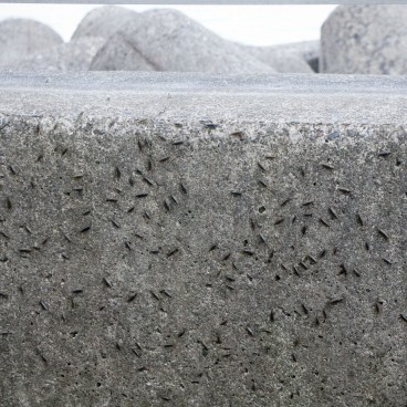 Zone portuaire de Beppu (Oita) 3