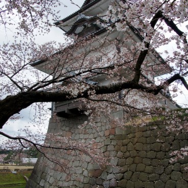 Vue sur le château de Kanazawa et les cerisiers en fleur