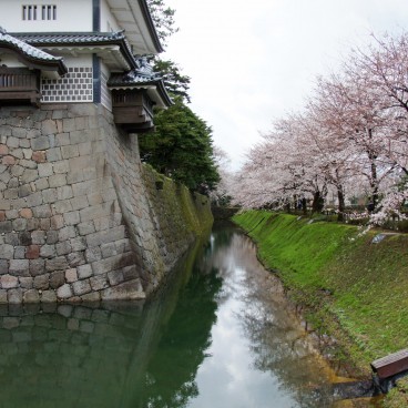 Vue sur le château de Kanazawa et les cerisiers en fleur 2