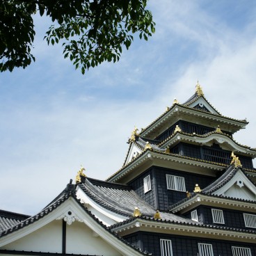 Donjon du Château d'Okayama 5