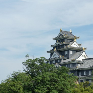 Donjon du Château d'Okayama