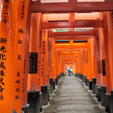 Fushimi Inari Taisha à Kyoto, Portes torii financés par des entreprises et hommes d'affaires