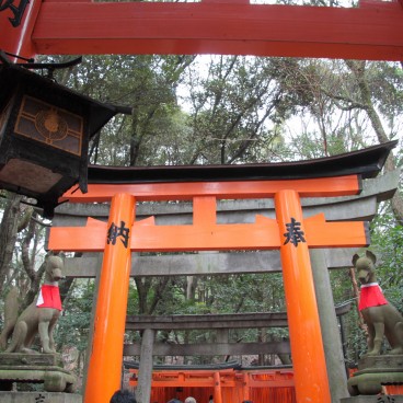 Fushimi Inari Taisha à Kyoto, Portes torii et statues de renard Inari