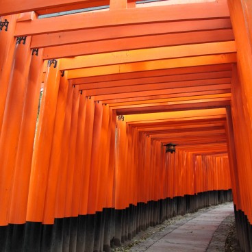 Fushimi Inari Taisha à Kyoto, Couloir de portes torii 2