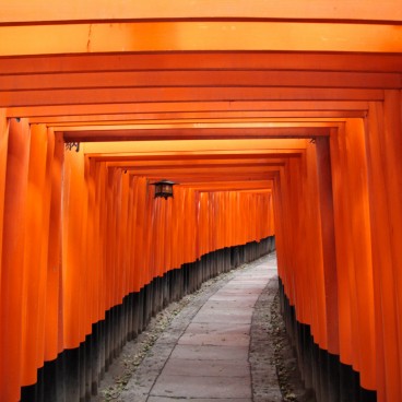 Fushimi Inari Taisha à Kyoto, Couloir de portes torii 4