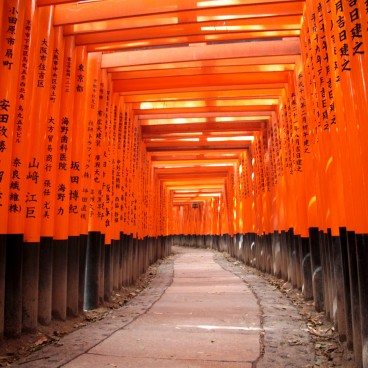 Fushimi Inari Taisha à Kyoto, Couloir de portes torii