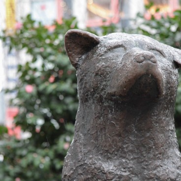 Statue du chien fidèle Hachiko à Shibuya (Tokyo)