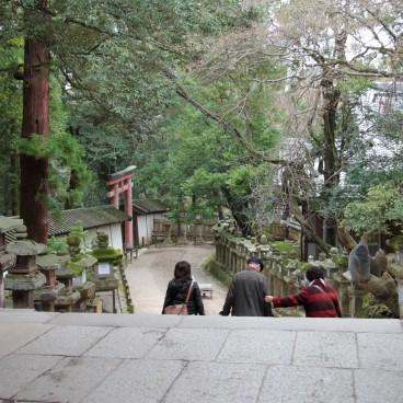 Sanctuaire Kasuga Taisha à Nara 2