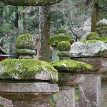 Sanctuaire Kasuga Taisha à Nara, Lanternes de pierre 2