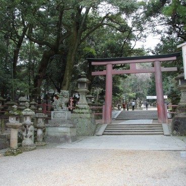 Torii au Kasuga Taisha à Nara