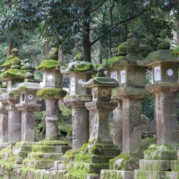 Sanctuaire Kasuga Taisha à Nara, Lanternes de pierre 4