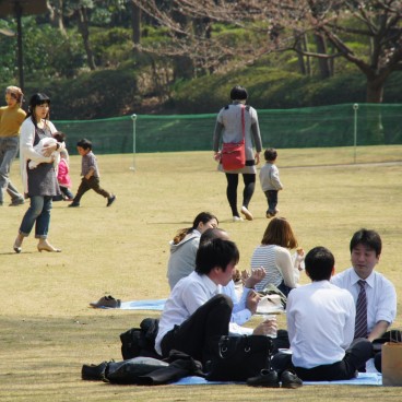 Visiteurs admirant les cerisiers au Parc Kitanomaru à Tokyo 2