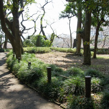 Allée du Parc Kitanomaru à Tokyo 2