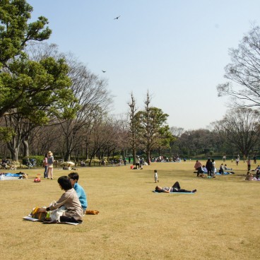 Visiteurs profitant du Parc Kitanomaru à Tokyo