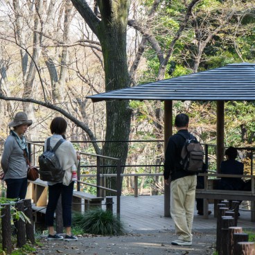 Visiteurs profitant du Parc Kitanomaru à Tokyo 2