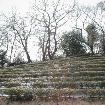 Kokyo Palais Impérial de Tokyo, Agencement du jardin