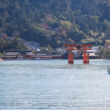 Miyajima (Chugoku), vue sur le torii et l'île