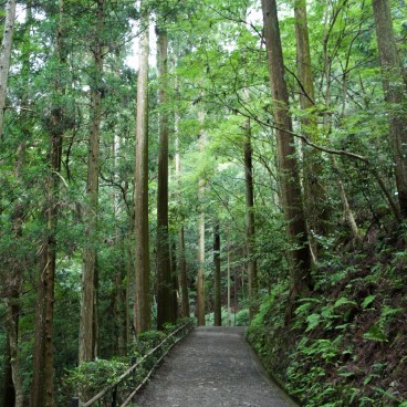 Mont Kurama, Chemin de randonnée 6