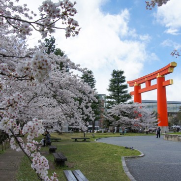 Torii du sanctuaire Heian-jingu près du Canal Okazaki