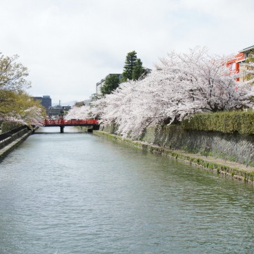 Canal Okazaki 2