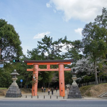Parc de Nara, Grand Torii 2