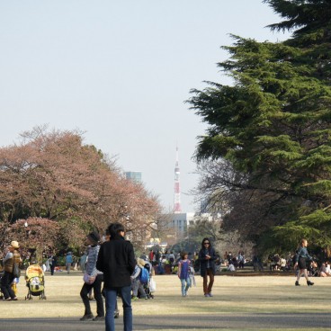 Shinjuku Gyoen (Tokyo) à la fin de l'hiver