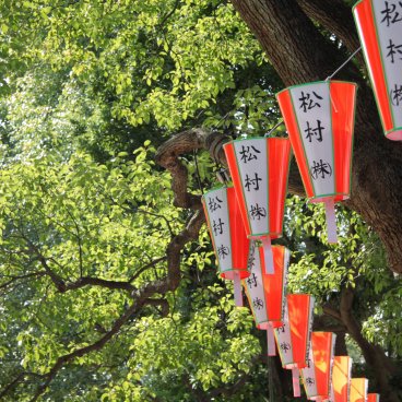Parc de Ueno, lanternes et cerisiers verts en été