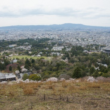 Parc de Nara, Vue sur Nara depuis le Mont Wakakusa-yama