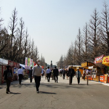Sanctuaire Yasukuni à Tokyo, Allée d'accès principal bordée de ginkgos lors du Sakura Matsuri au printemps