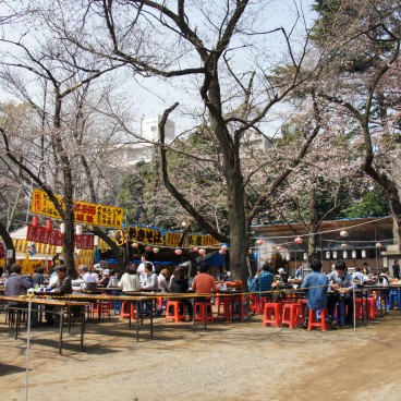 Sanctuaire Yasukuni à Tokyo, Stands de street food lors du Sakura Matsuri au printemps
