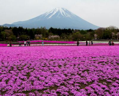 Voyage au Japon