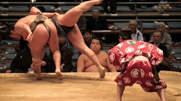 Tournoi de Sumo à Osaka, Joute de sumos