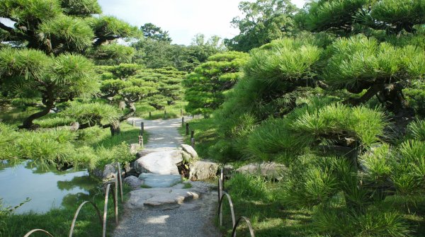 Ritsurin Koen (Takamatsu), Allée entre les pins
