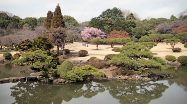 Shinjuku Gyoen (Tokyo), Vue sur le jardin japonais aux 1ères floraisons à la fin de l'hiver