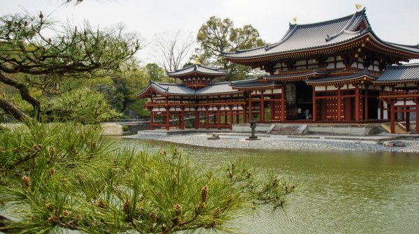 Temple Byodo-in à Uji, Pavillon du Phénix et branche de pin